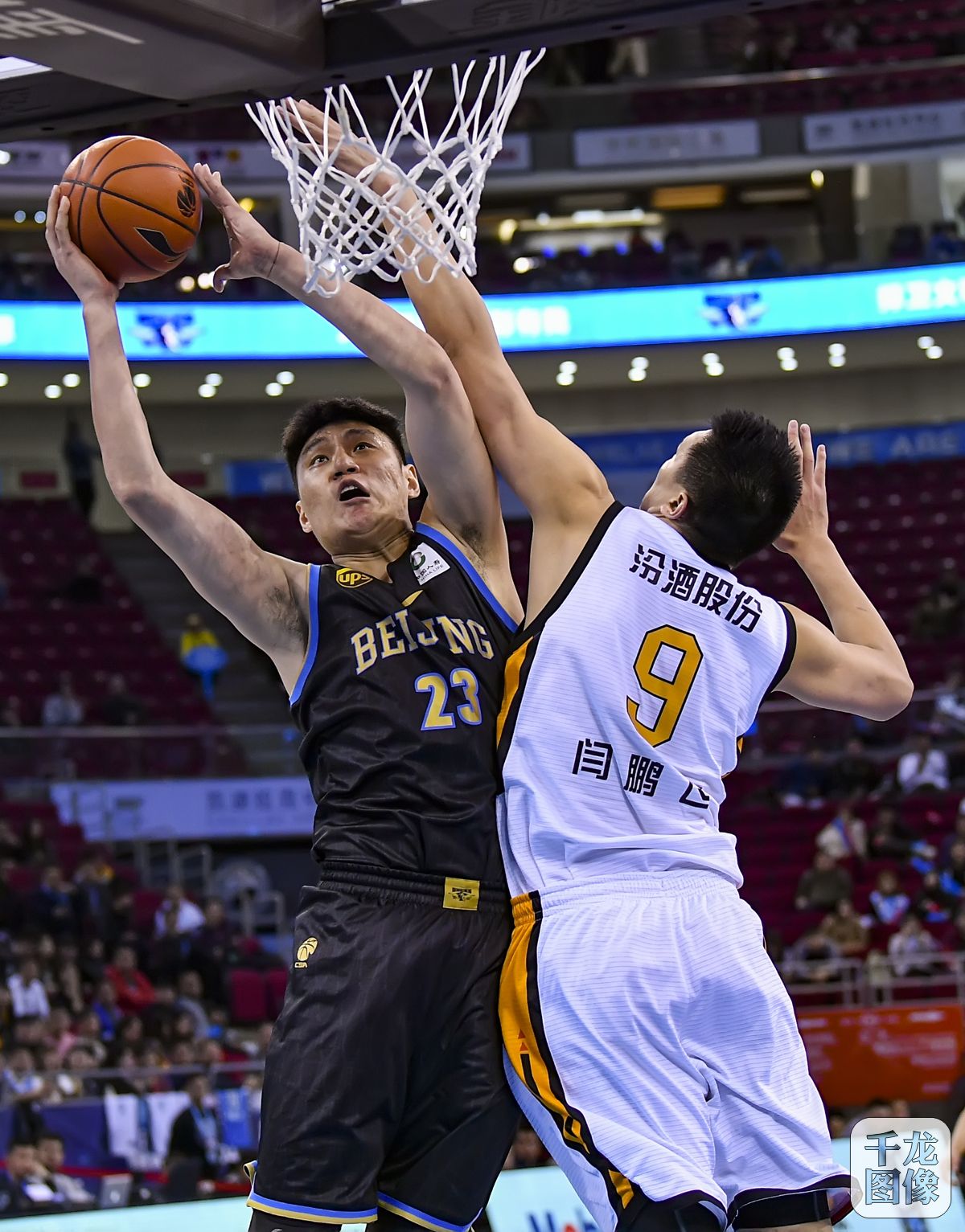 球运动员的 球运动员的